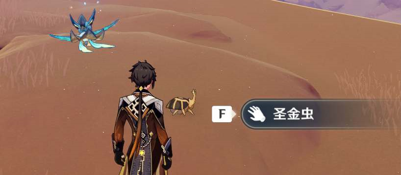 原神圣金虫有多少10
