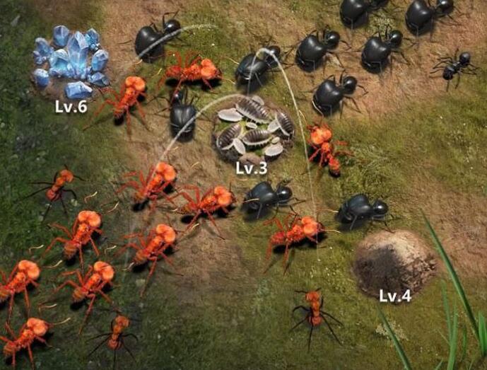 小小蚁国粉钻怎么用2