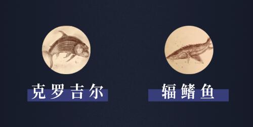 阿什沃德墓园有什么鱼4