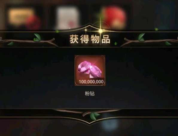 小小蚁国粉钻怎么用1