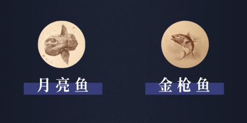 阿什沃德墓园有什么鱼5