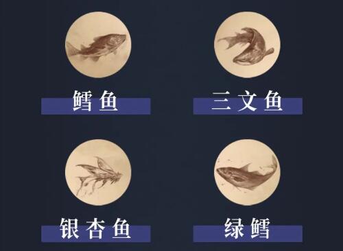 暗黑手游拜尔芬岛鱼类图鉴3