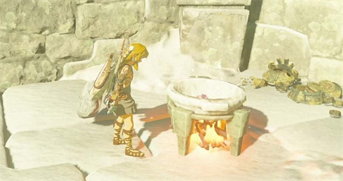 塞尔达传说王国之泪毅力蘑菇哪里多2