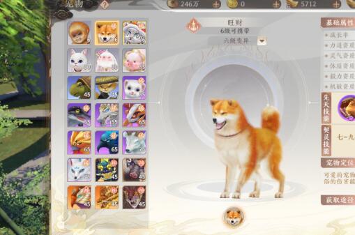 天龙八部2刷经验带什么宠物合适1