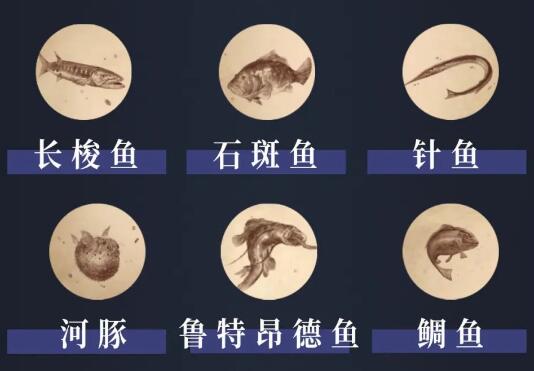 暗黑手游拜尔芬岛鱼类图鉴2