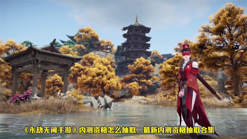 1721656571540.jpg 295.jpg