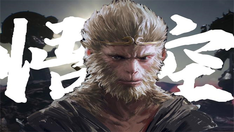 1724154356891.jpg 25.jpg