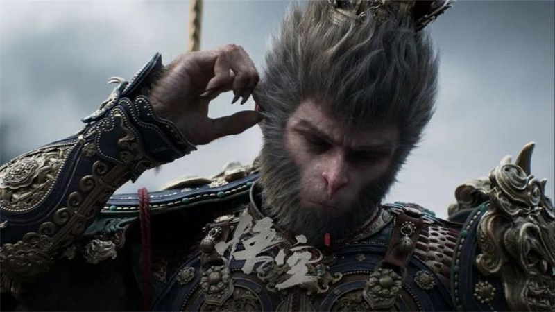 1724154561882.jpg 29.jpg