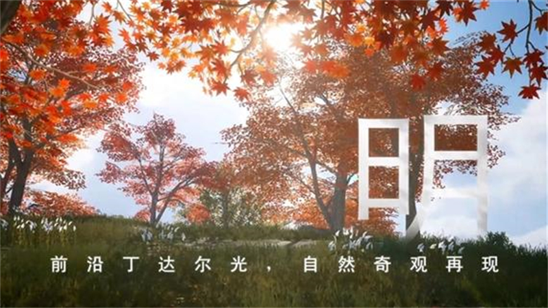 1726822065337.jpg 44.jpg